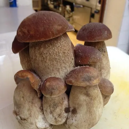 Logis Restaurant La Bastide Villefranche-du-Périgord